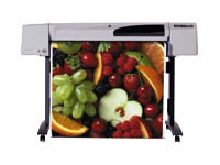 Plotter HP DesignJet 500PS Plus 42  (C7770G#ABE)